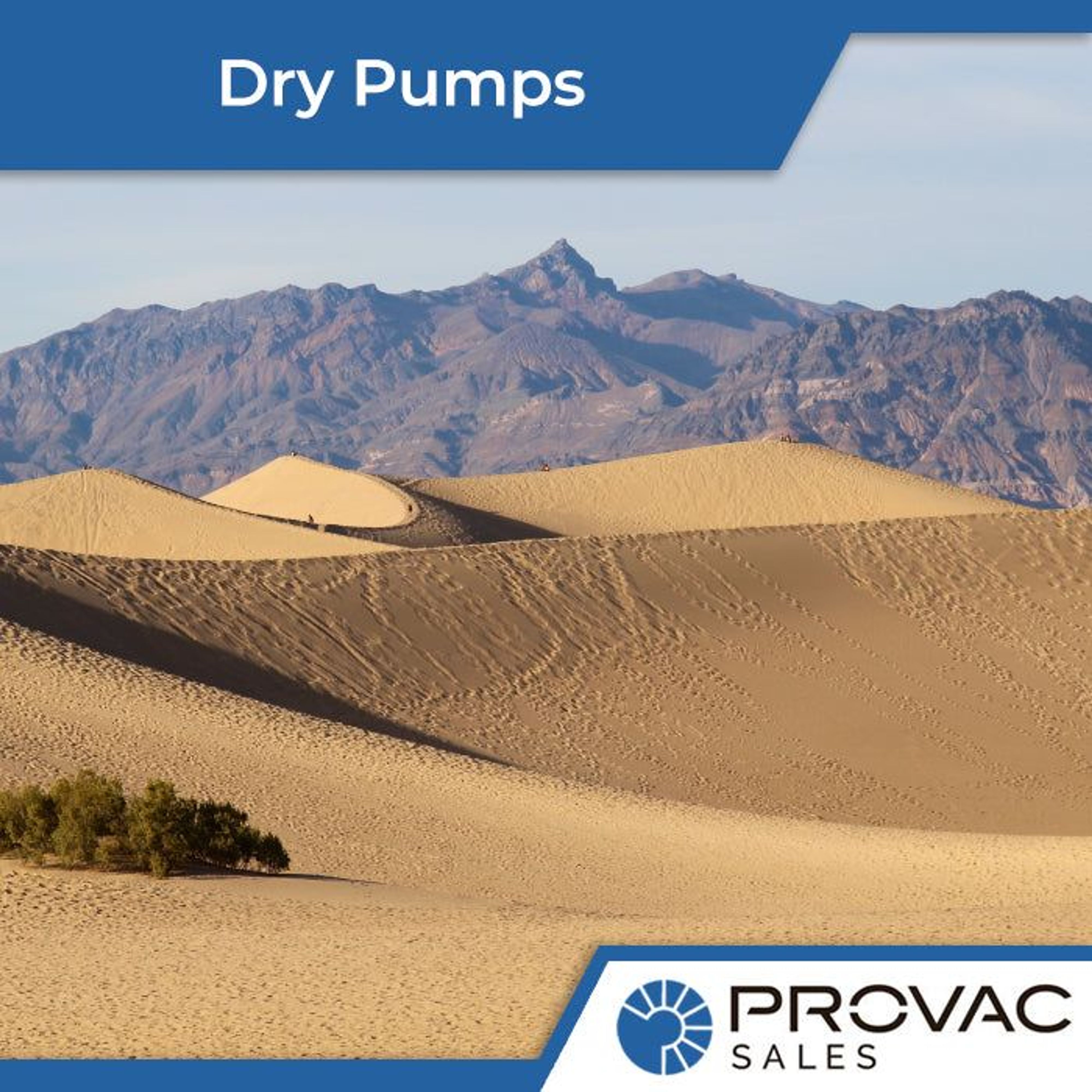 Dry Pumps: Screw, Roots, Hook & Claw Background