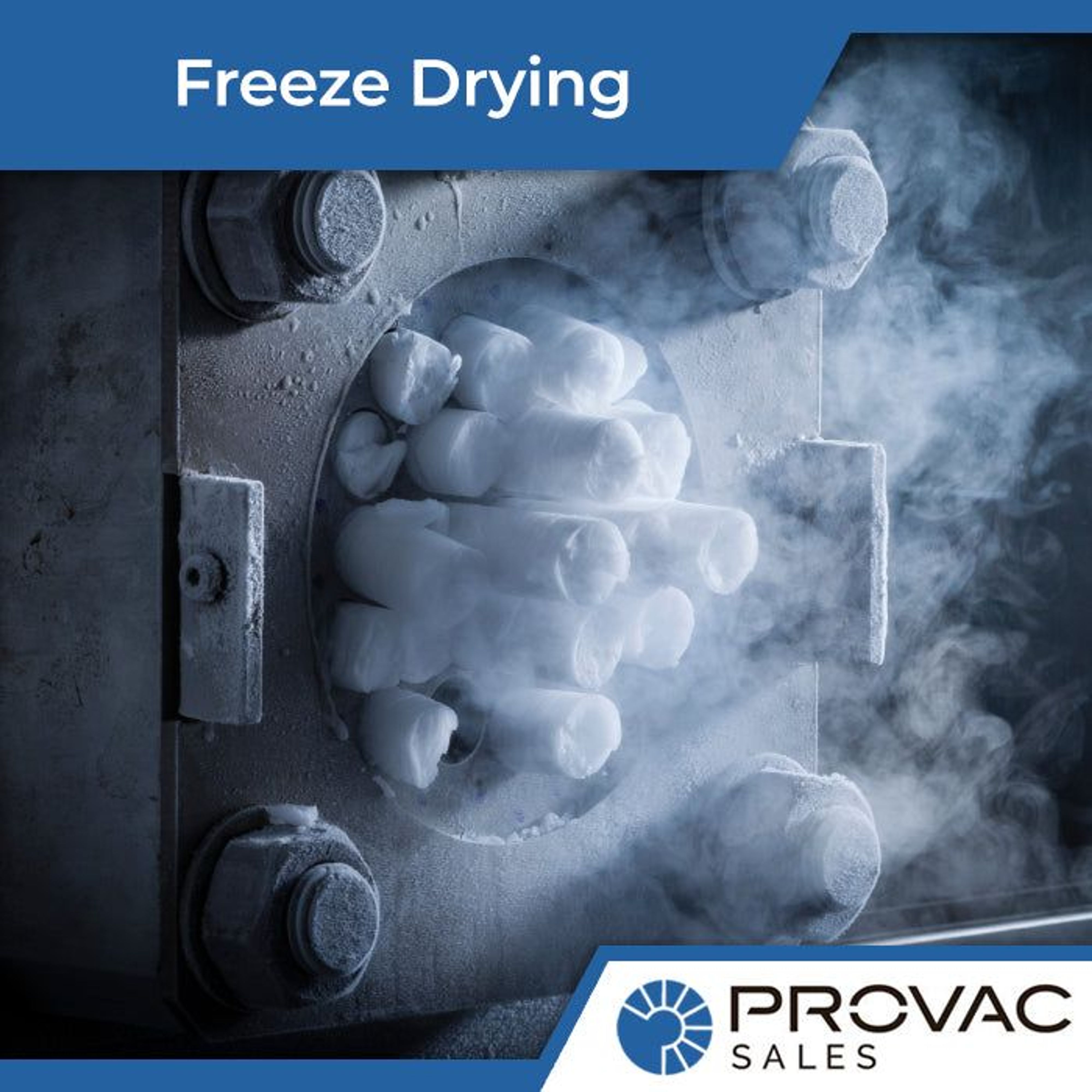 The Process of Freeze Drying Under Vacuum Background
