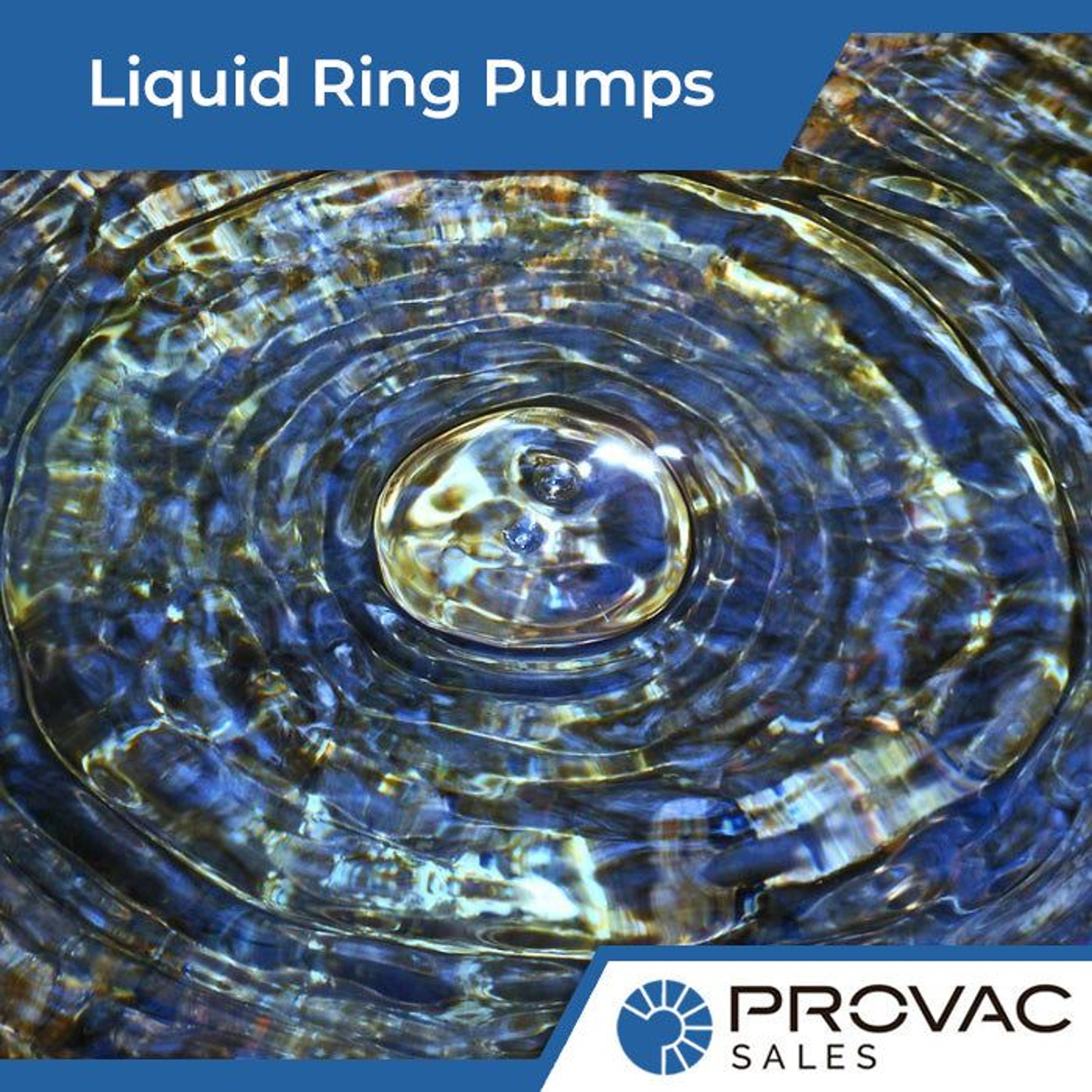 Liquid Ring Vacuum Pumps Background