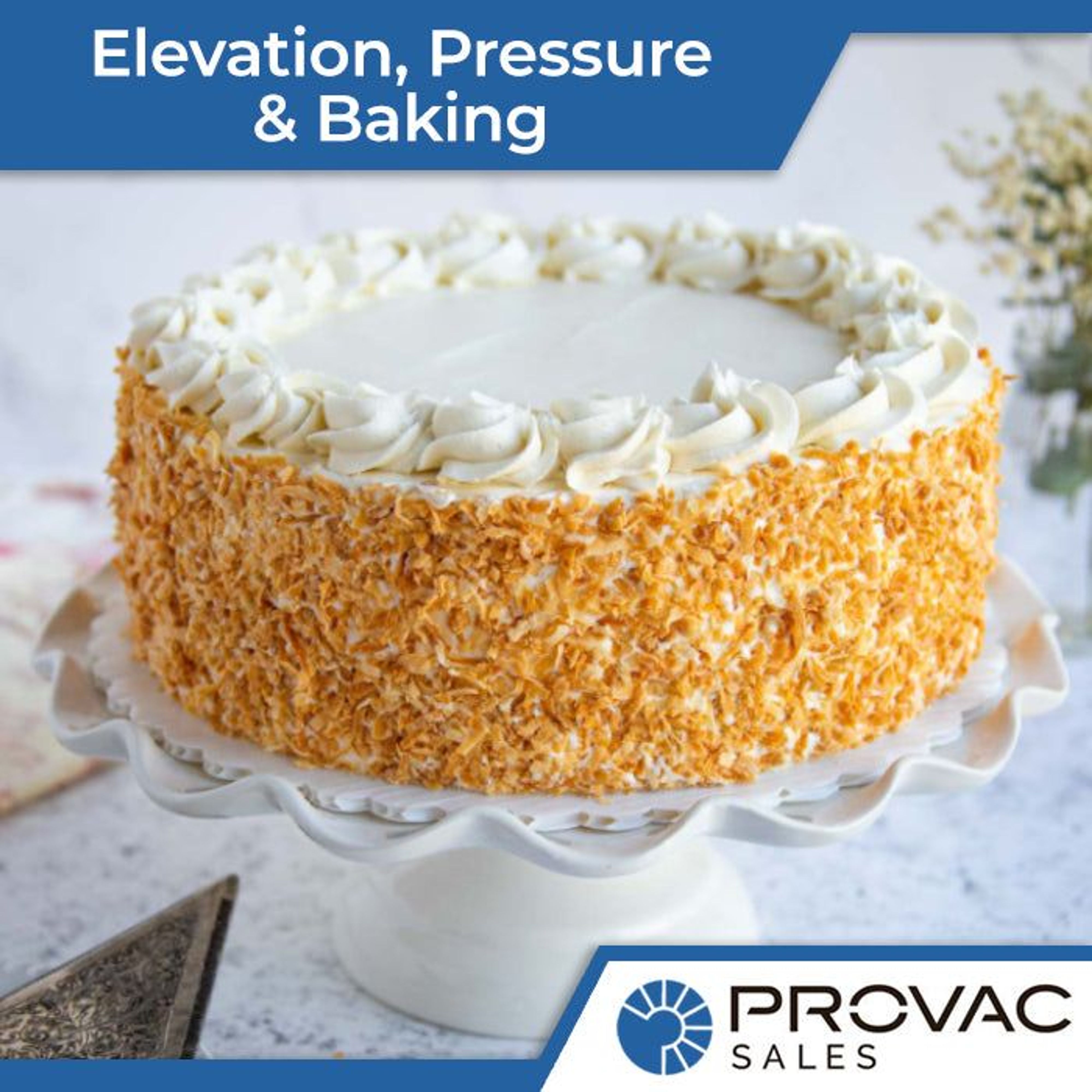 Elevation, Atmospheric Pressure, and Baking Background
