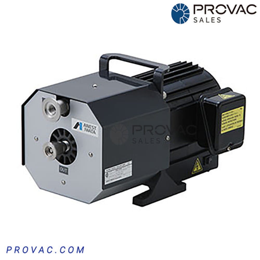 Anest Iwata DVSL-100C Scroll Pump