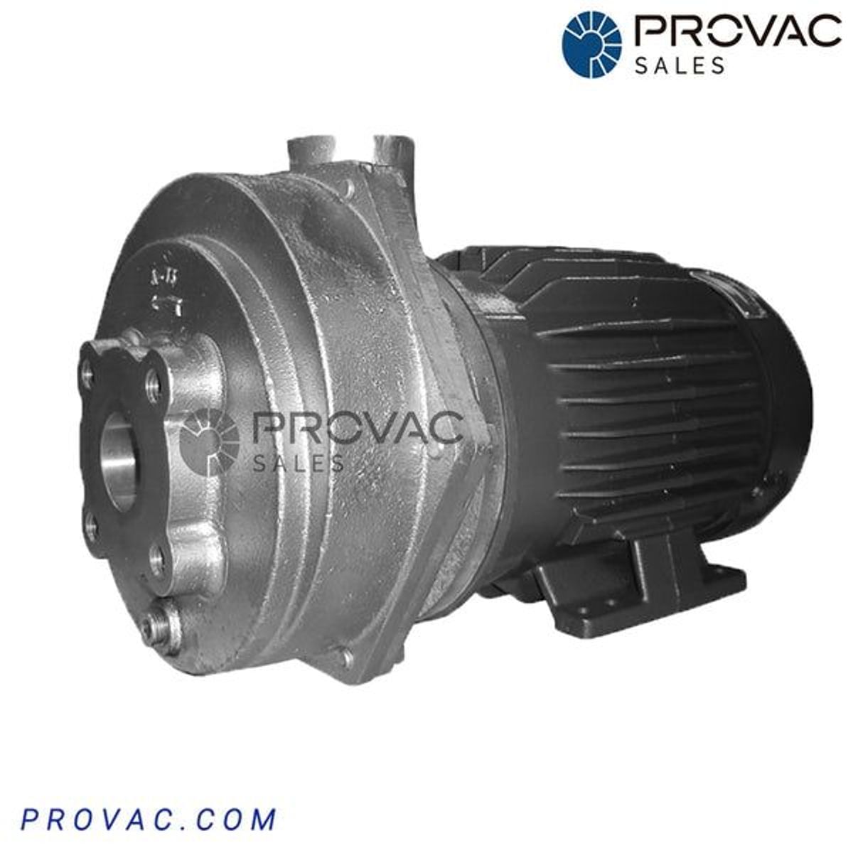 Water Ring Vacuum Pumps - Everest Pumps & Systems