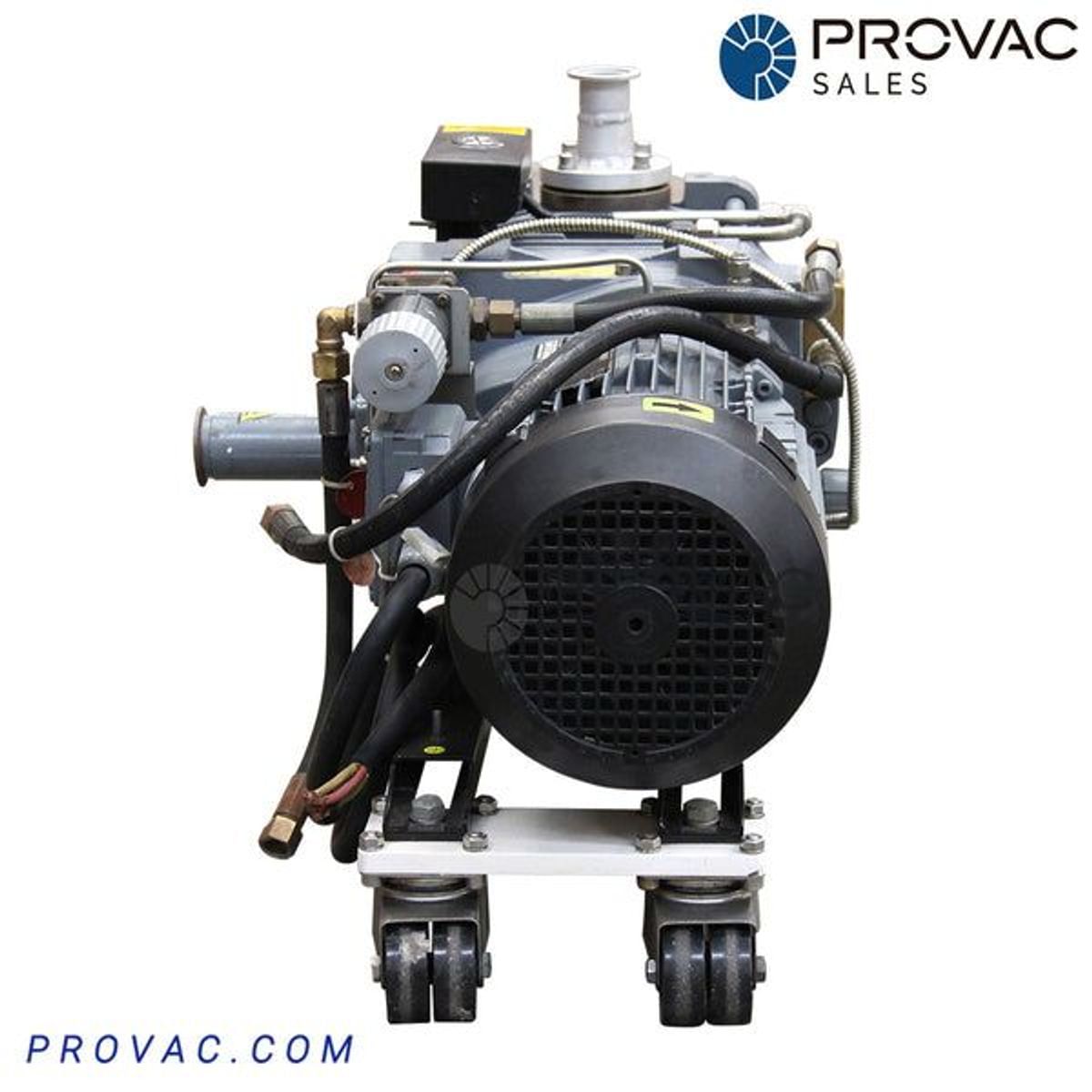 Edwards GV-80 Dry Pump, Rebuilt Image 4