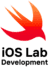 iOS Lab