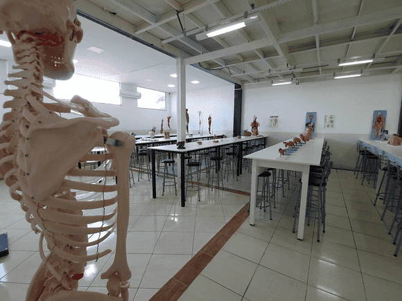 Vídeo e Imagens da IES