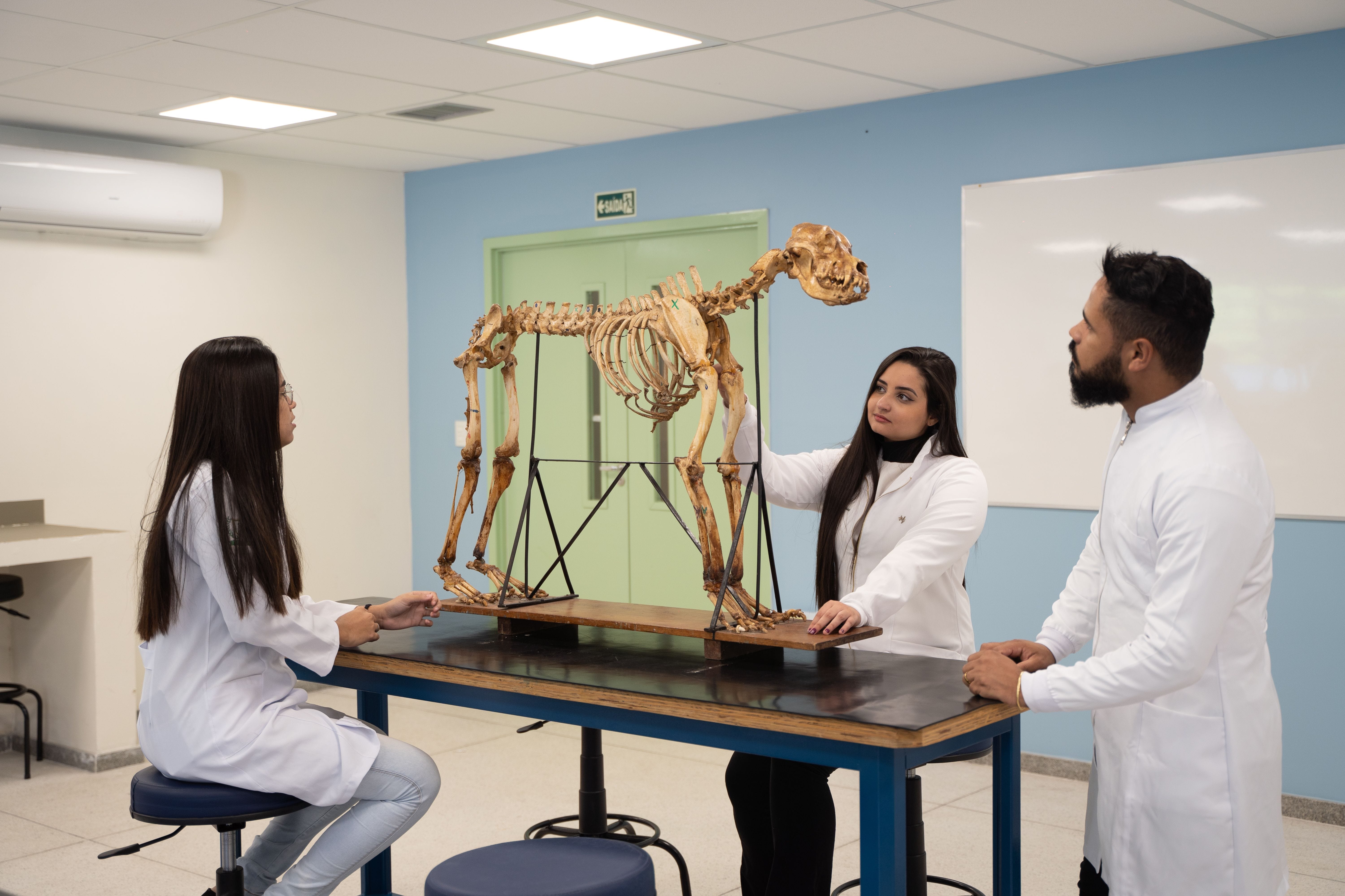 Vídeo e Imagens da IES