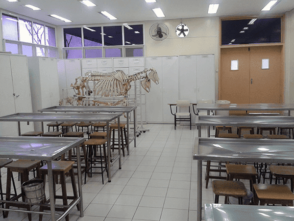Vídeo e Imagens da IES