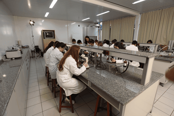 Vídeo e Imagens da IES