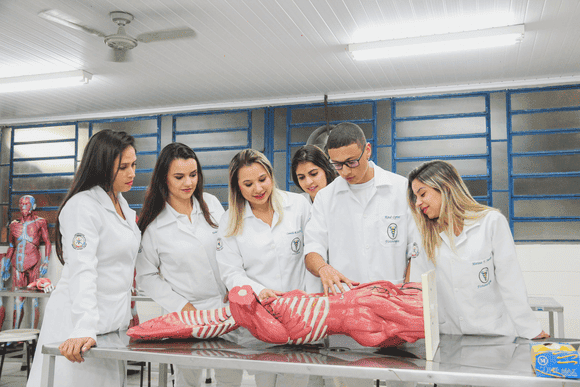 Vídeo e Imagens da IES