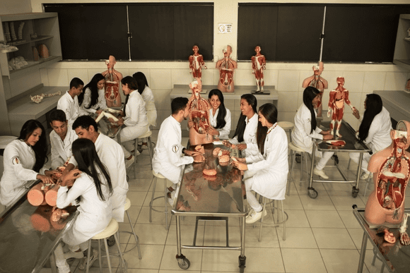 Vídeo e Imagens da IES