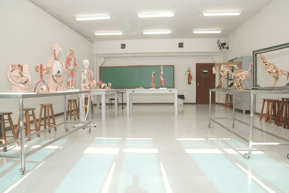Vídeo e Imagens da IES