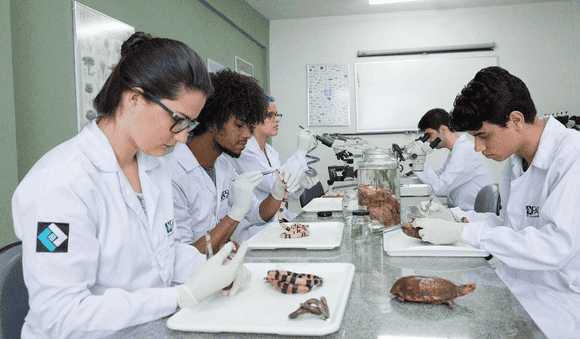 Vídeo e Imagens da IES