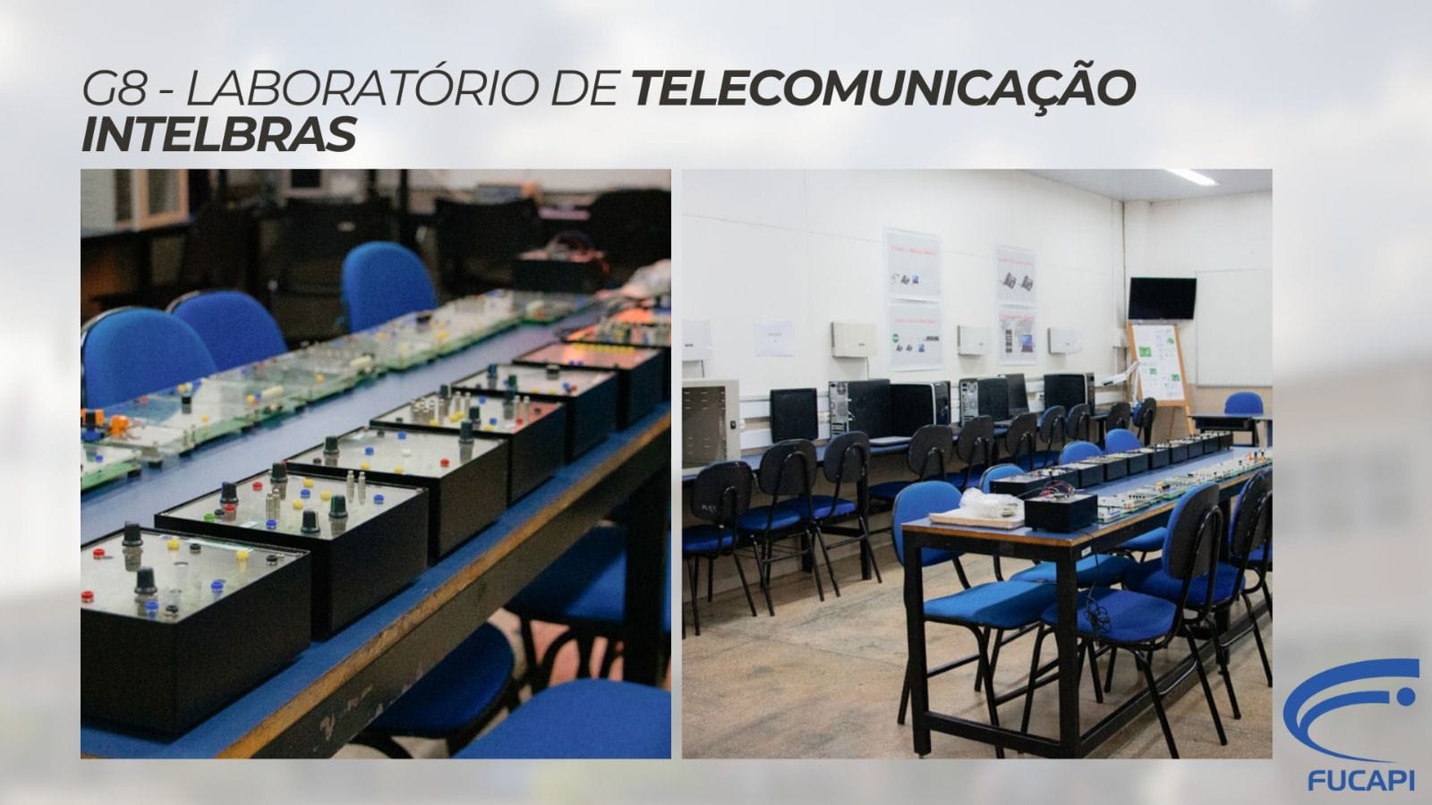 Imagem da galeria 7