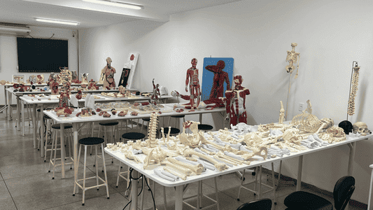 Imagem da galeria 4