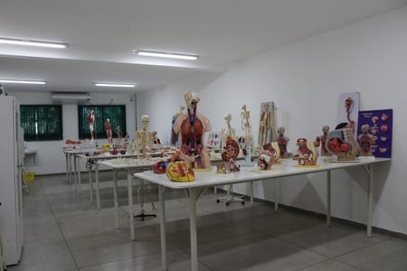 Imagem da galeria 3