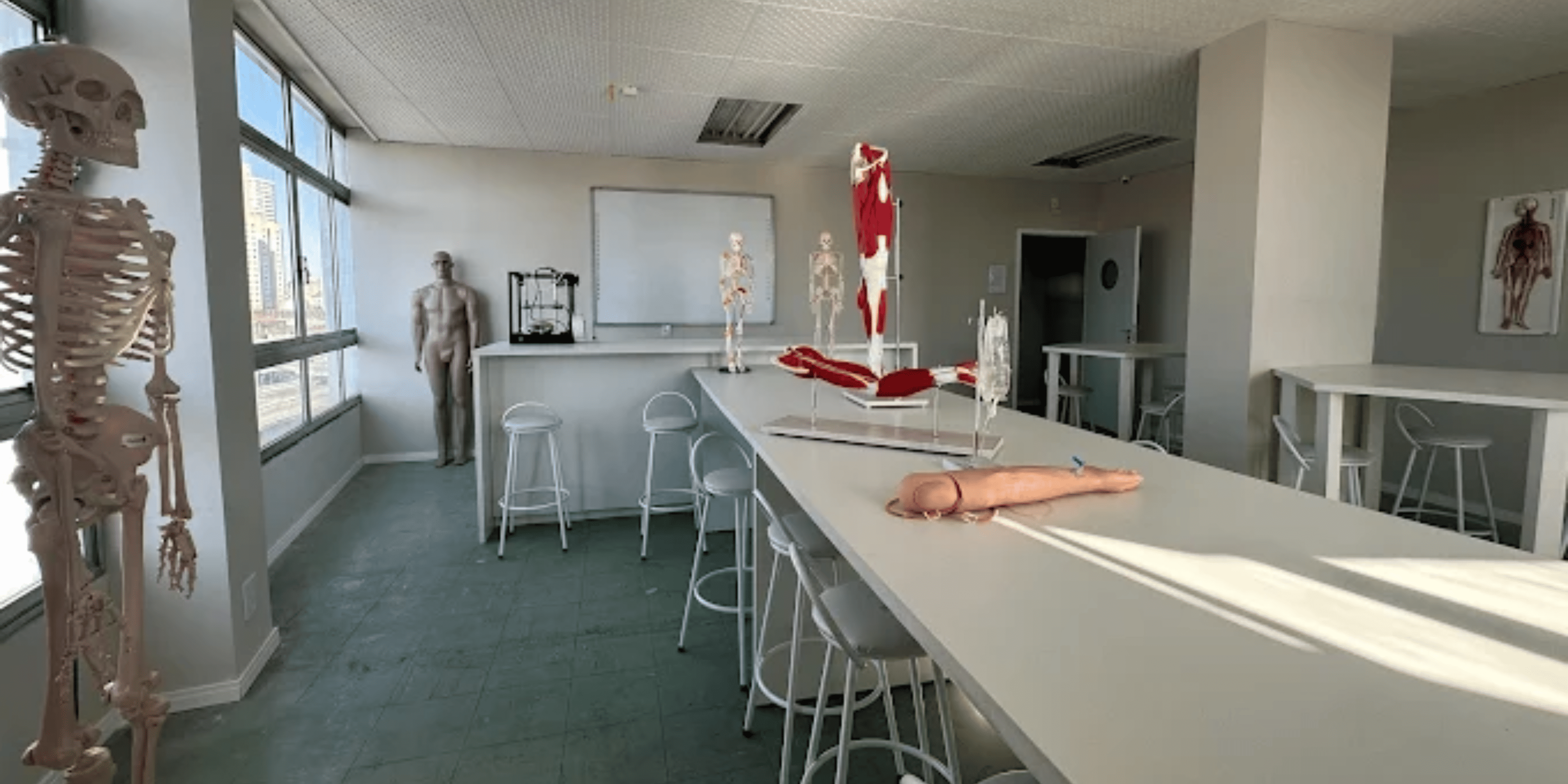 Imagem da galeria 2