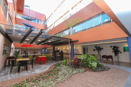 Imagem da galeria 2