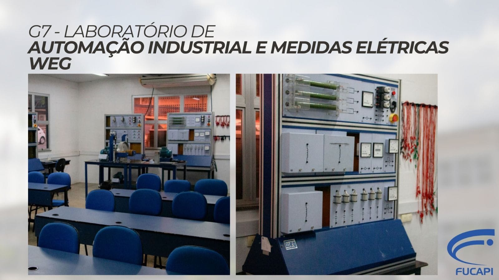 Imagem da galeria 4