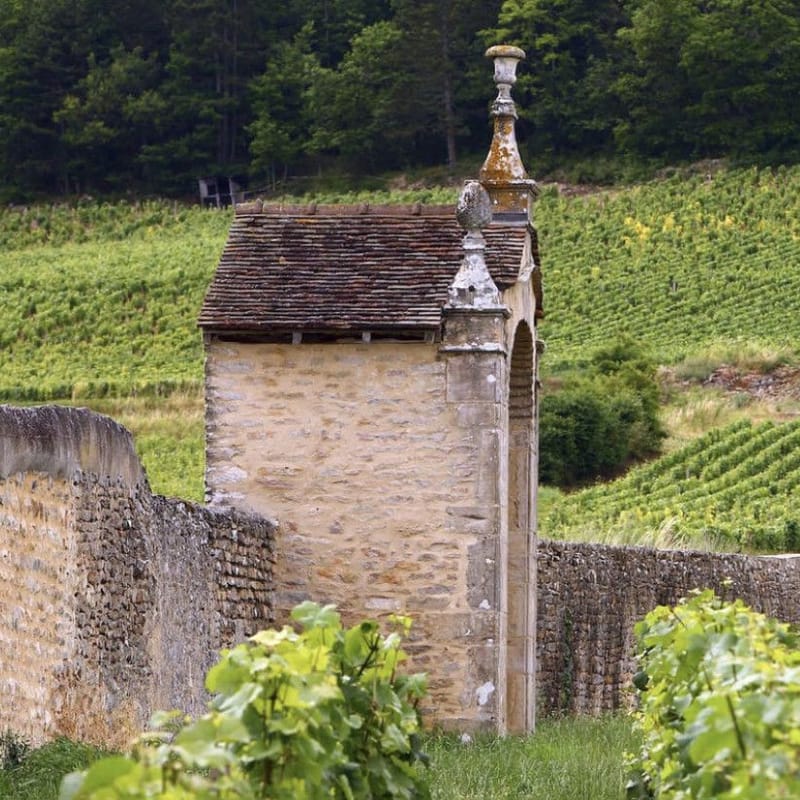 Background for Domaine Armand Rousseau Chambertin-Clos de Bèze Grand Cru 2018