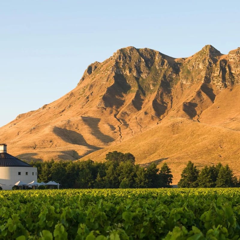 Background for Craggy Range Te Muna Road Sauvignon Blanc 2023