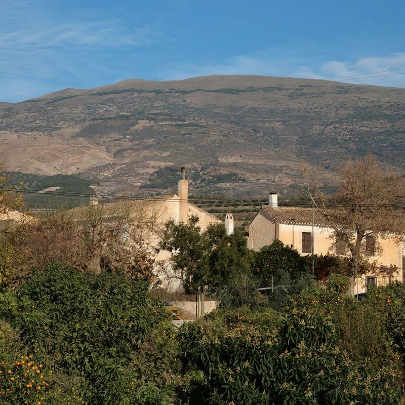 Background for Domaine Pinson Chablis 2023