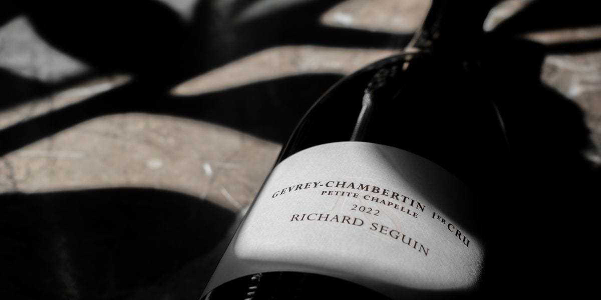 Richard Seguin Gevrey Chambertin 2022