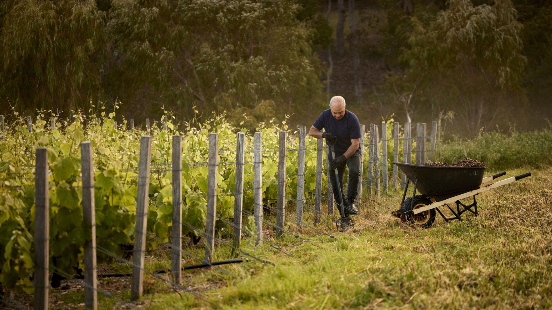 Cloudburst Wine Dinner