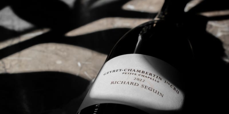 Richard Seguin Gevrey Chambertin 2022