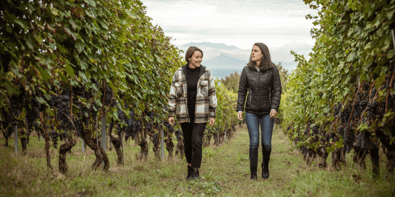 Two people in a wine grove