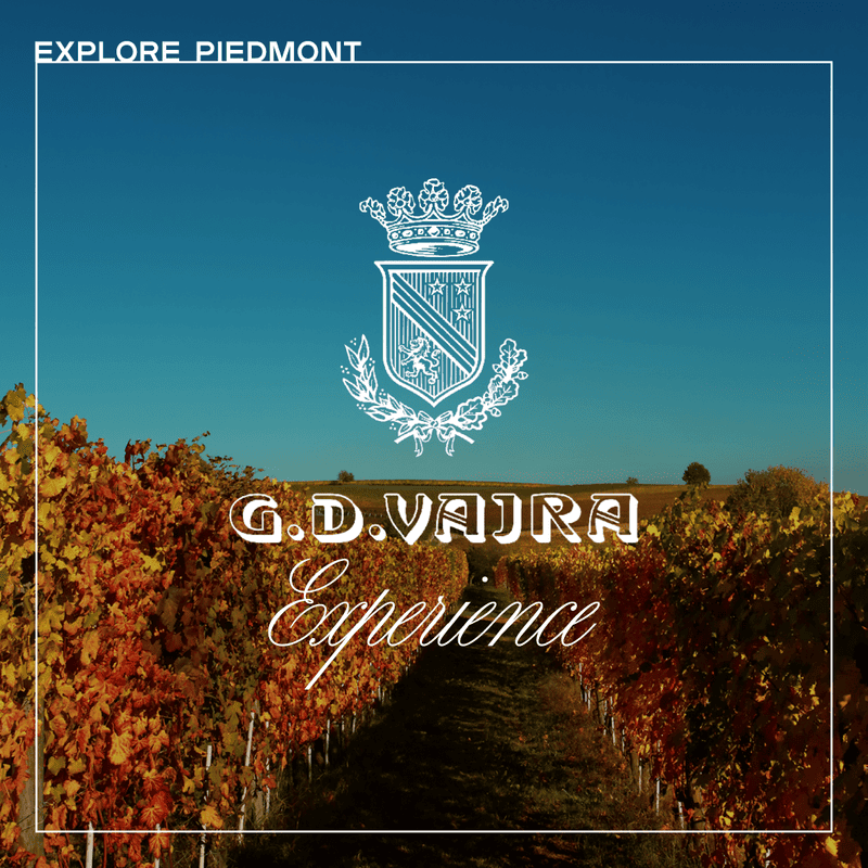 G.D. Vajra Wine Experience – with Assistant Winemaker
