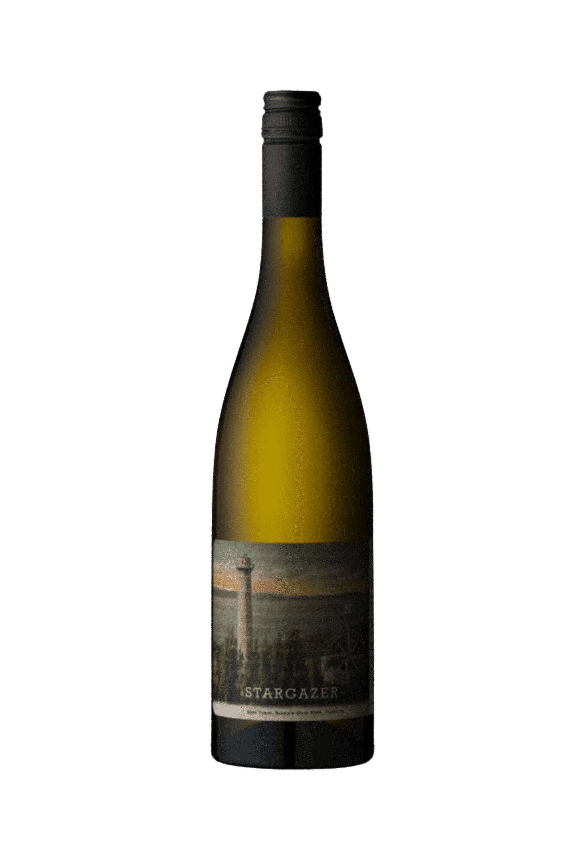 Stargazer Single Vineyard Riesling 2023