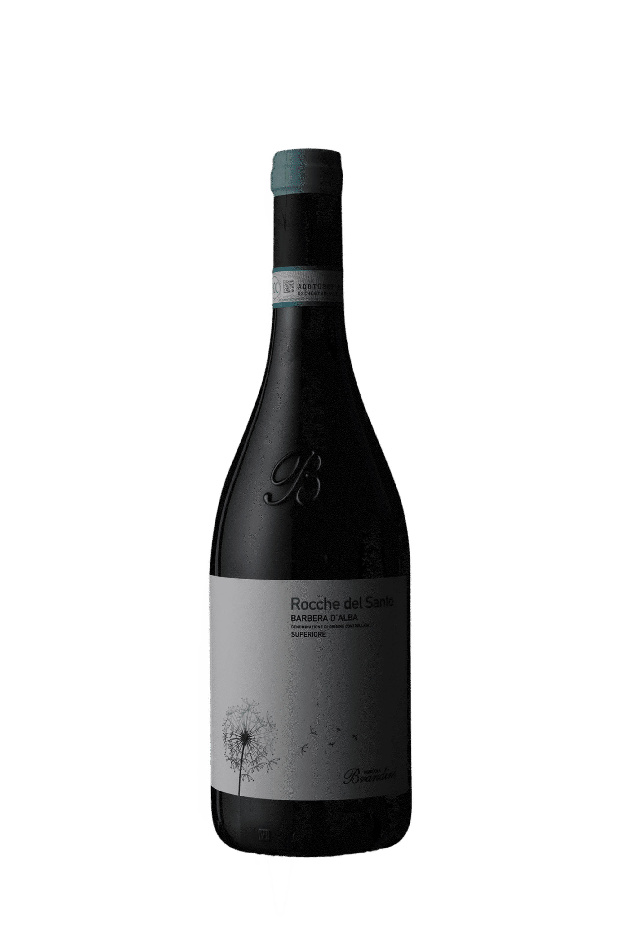 Brandini Barbera D'Alba Superiore Rocche del Santo DOC 2021