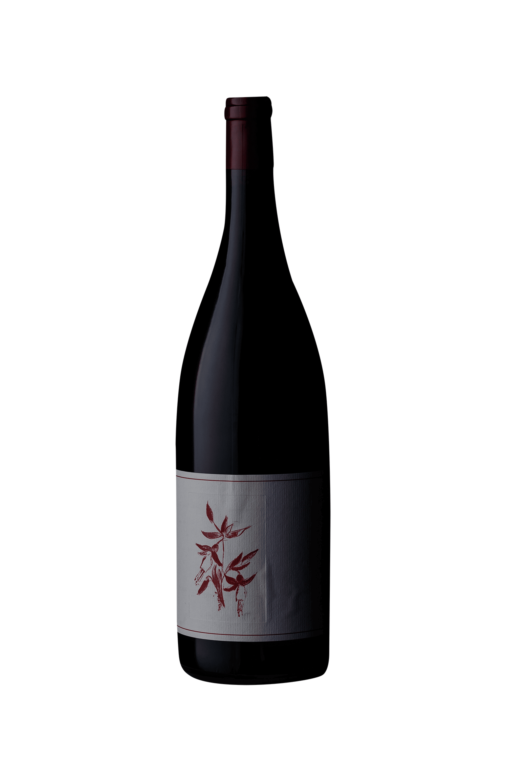 Arnot-Roberts Sonoma Coast Syrah 2021