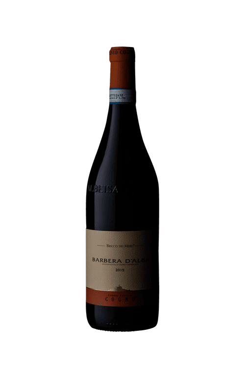 Elvio Cogno Barbera d'Alba Bricco Dei Merli DOC 2015