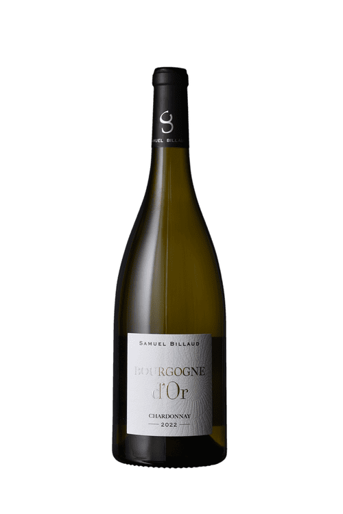 Samuel Billaud Bourgogne d'Or 2022