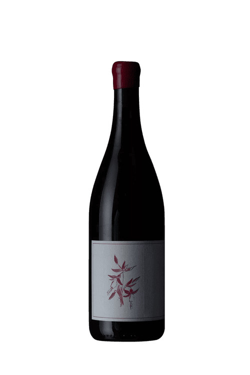 Arnot-Roberts Heaven and Earth Vineyard Pinot Noir 2021