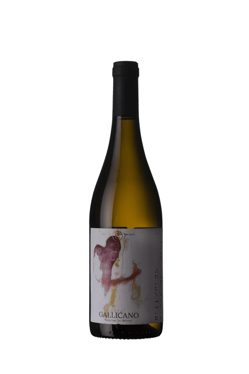 Castrum Morisci Gallicano Falerio DOC Pecorino 2021