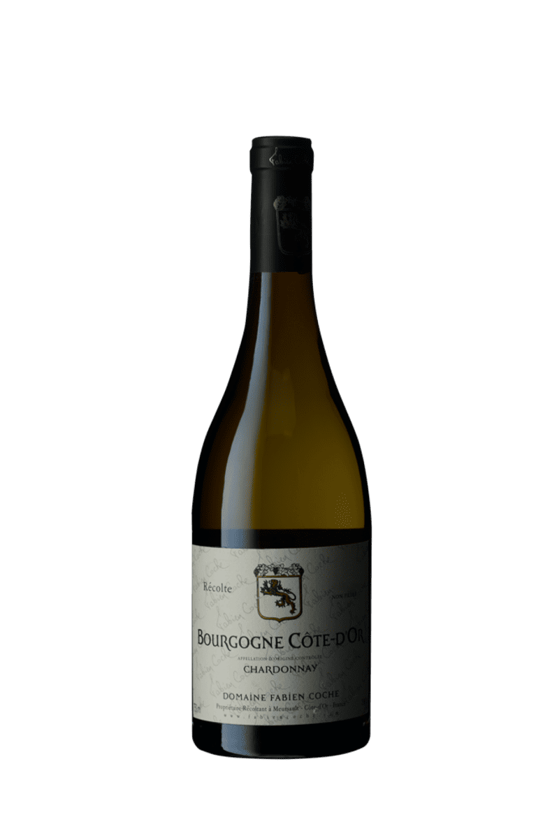 Fabien Coche Bourgogne Chardonnay 2022