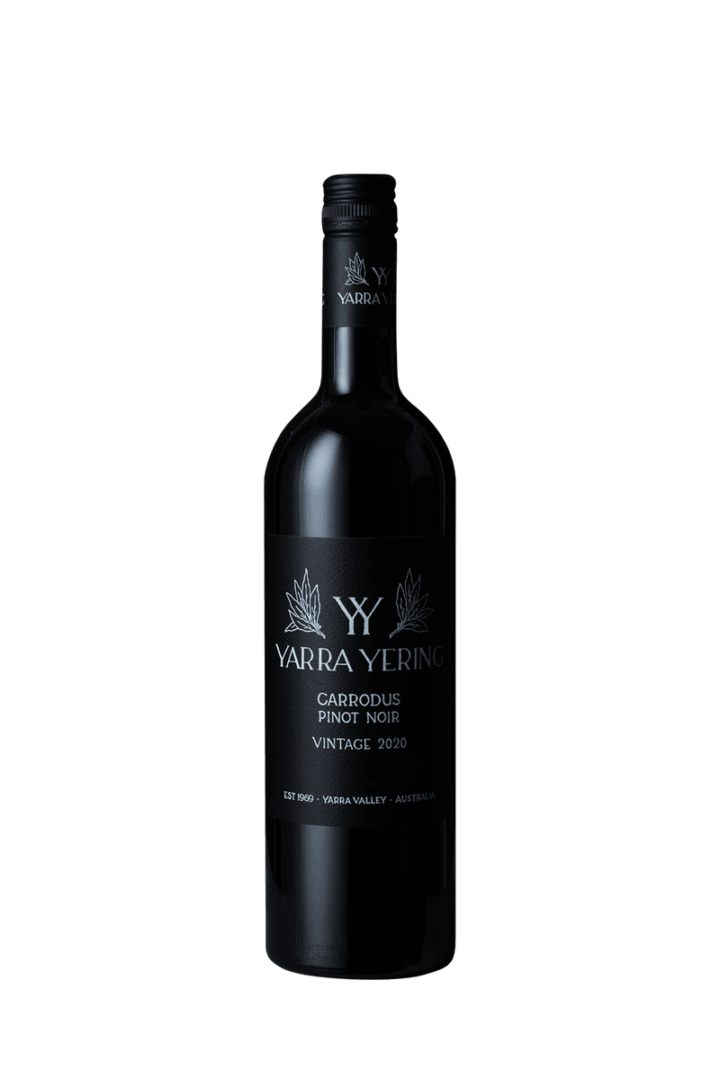 Yarra Yering Carrodus Pinot Noir 2020