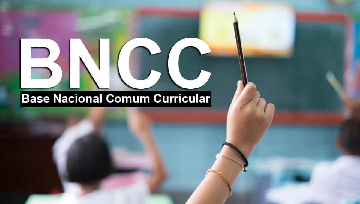 Saiba tudo sobre a BNCC da Educação Física