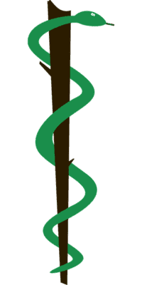 Símbolo da Medicina: significado e origem do bastão de Asclépio
