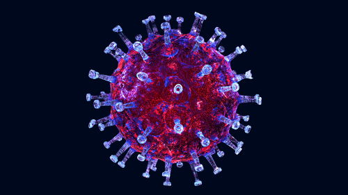 coronavírus enem