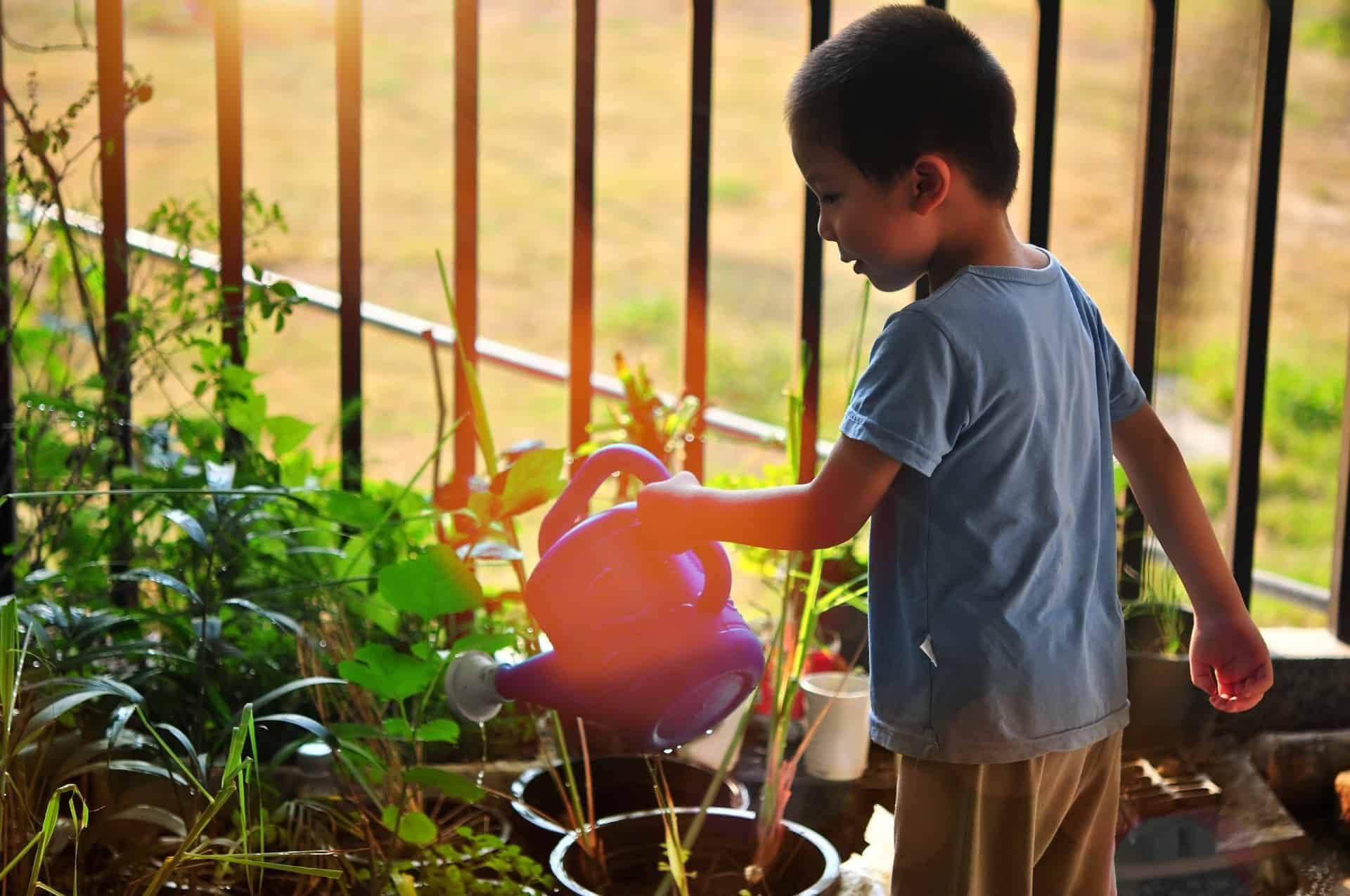 Criança regando plantas como atividade da educação ambiental nas escolas.