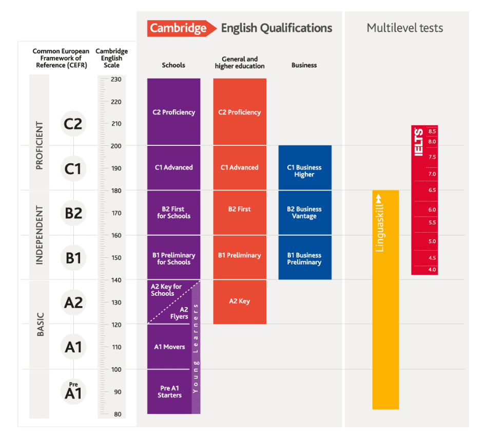 classificação das provas de cambridge e importância de idiomas no currículo