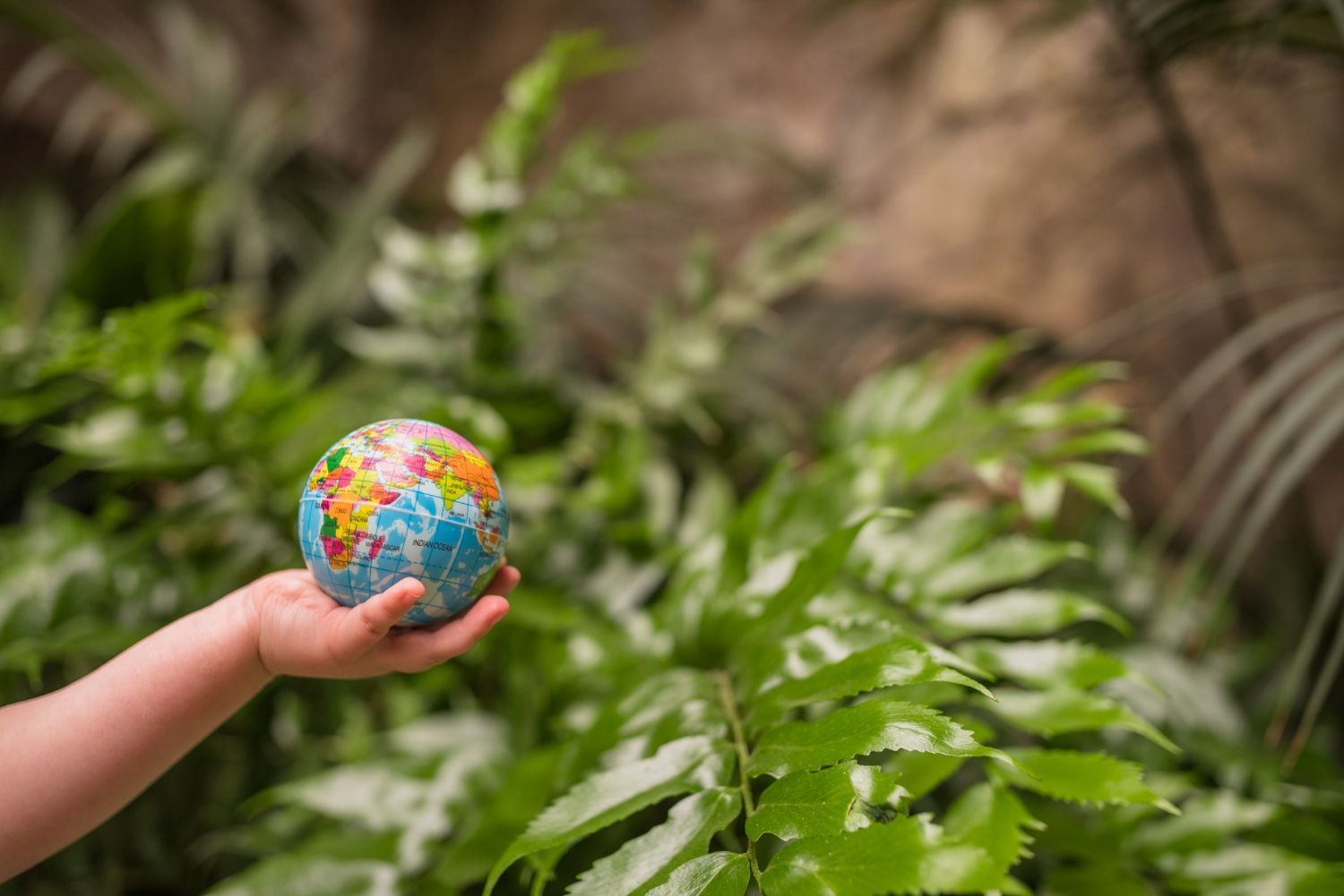 Mão de criança segurando um mini globo terrestre em frente a folhas de várias plantas em comemoração ao Dia da Terra