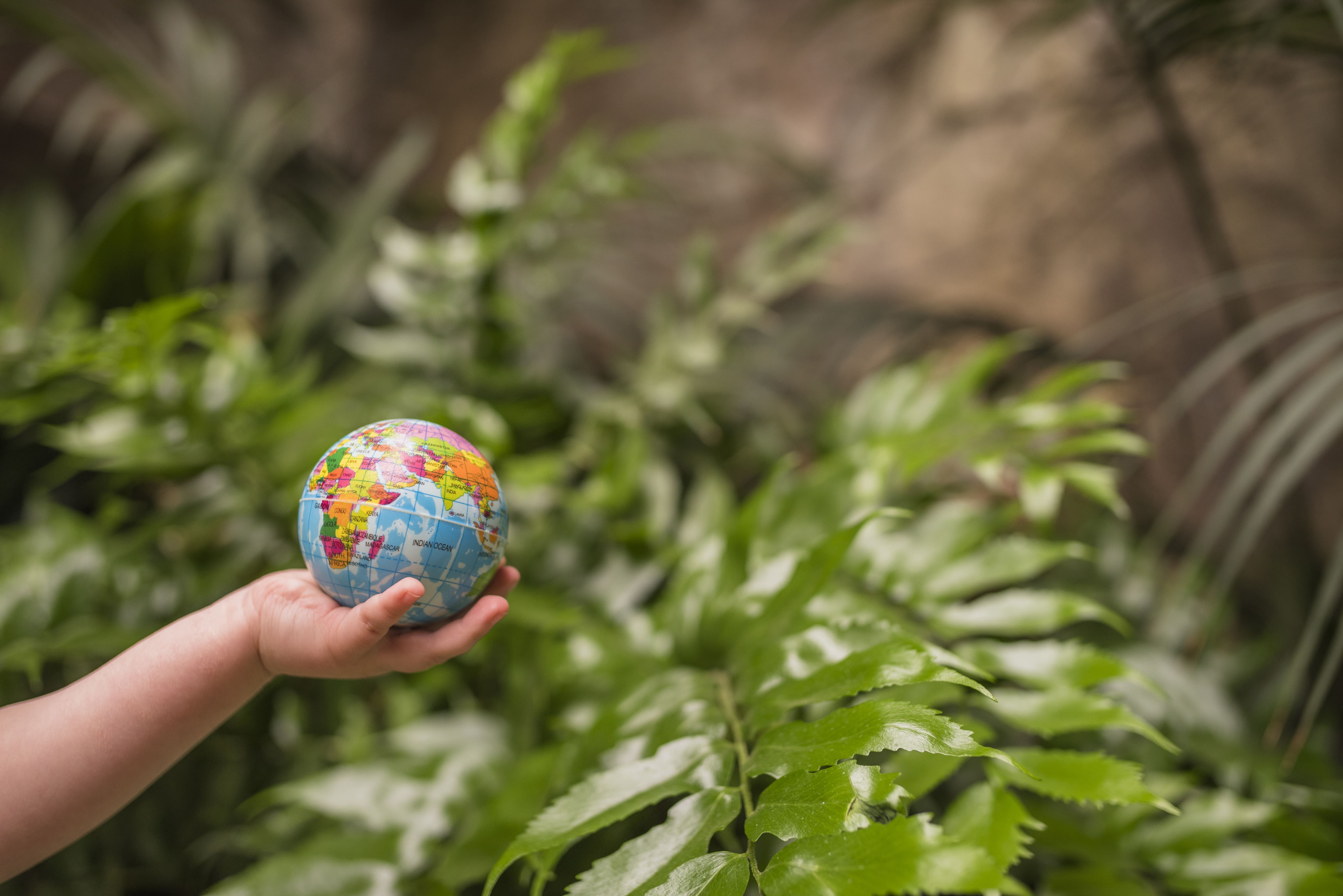 Mão estendida segurando uma miniatura de planeta Terra. Ao fundo, plantas