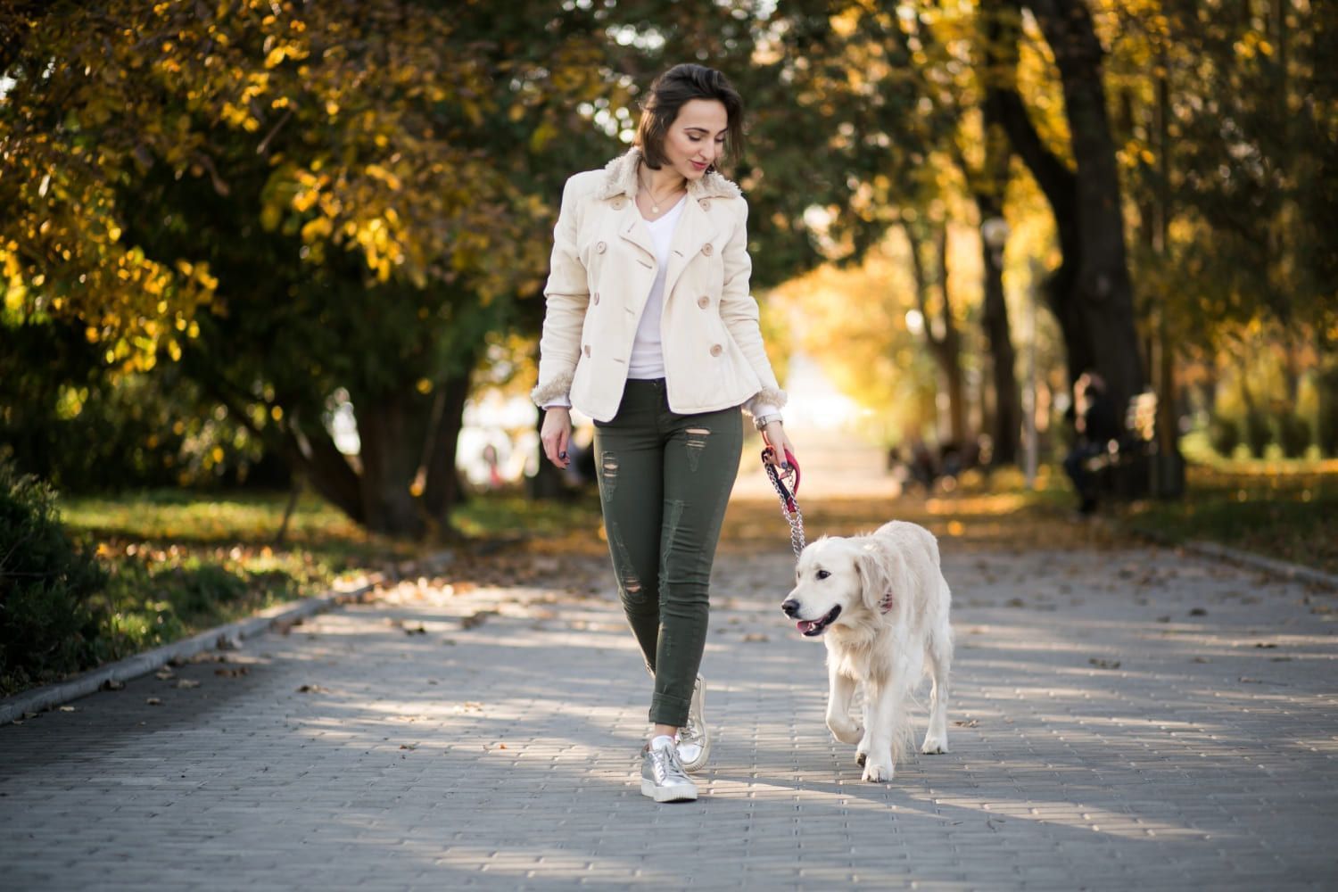 Mulher olhando para baixo passeando com cachorro em um parque; Novas profissões são incluídas na Classificação Brasileira de Ocupações; confira