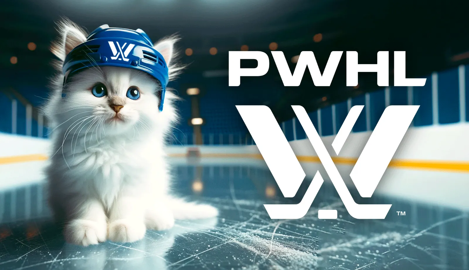 Founding Partner of the PWHL 