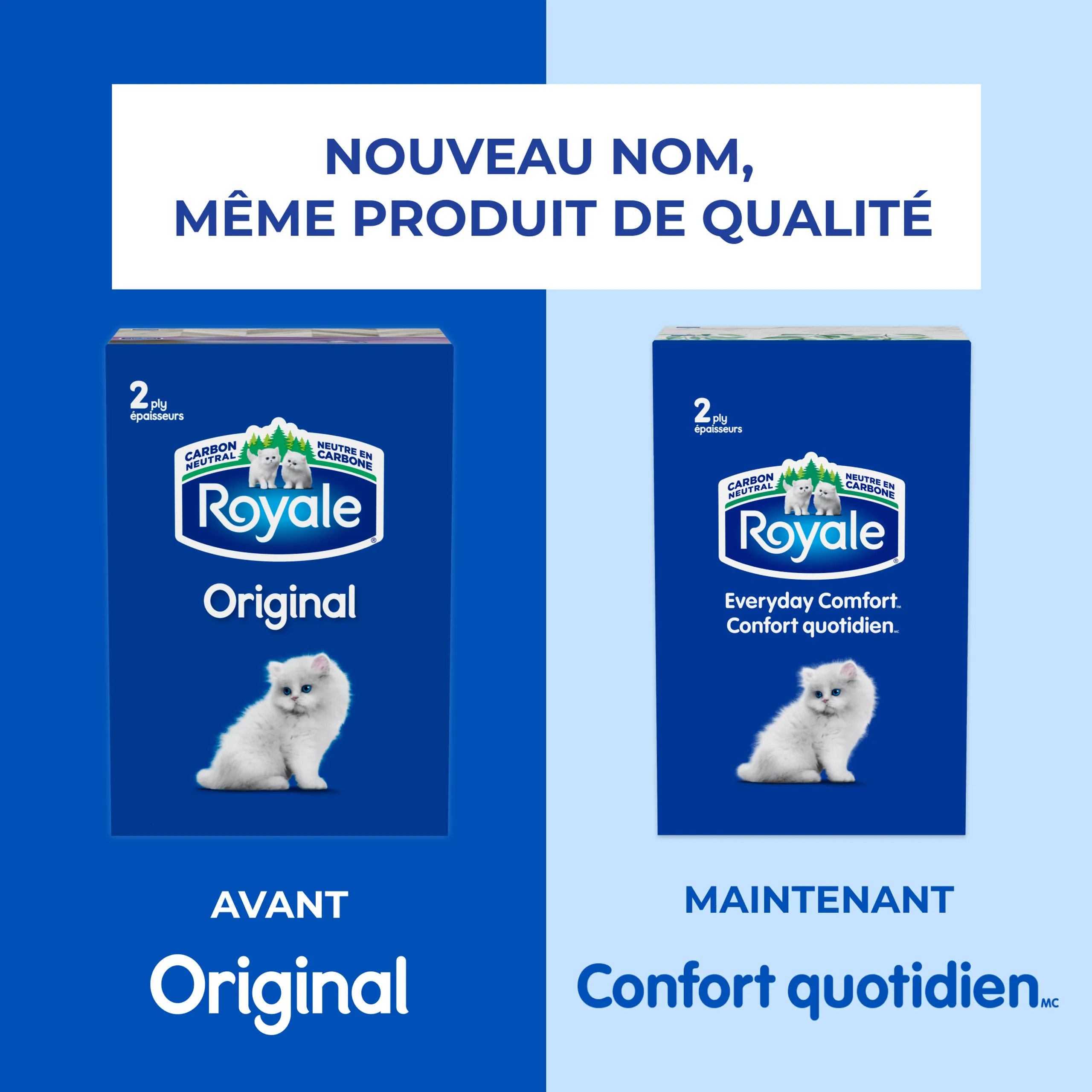 Bathroom Tissue