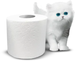 Bathroom Tissue